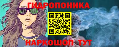 СК Обь