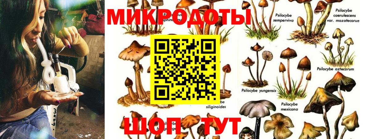 Псилоцибиновые грибы MAGIC MUSHROOMS Буйнакск