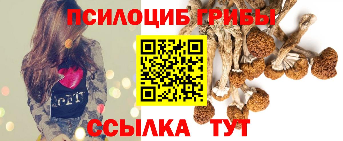 Галлюциногенные грибы Psilocybe  Вход с VPN  Буйнакск  Псилоцибиновые грибы MAGIC MUSHROOMS 
